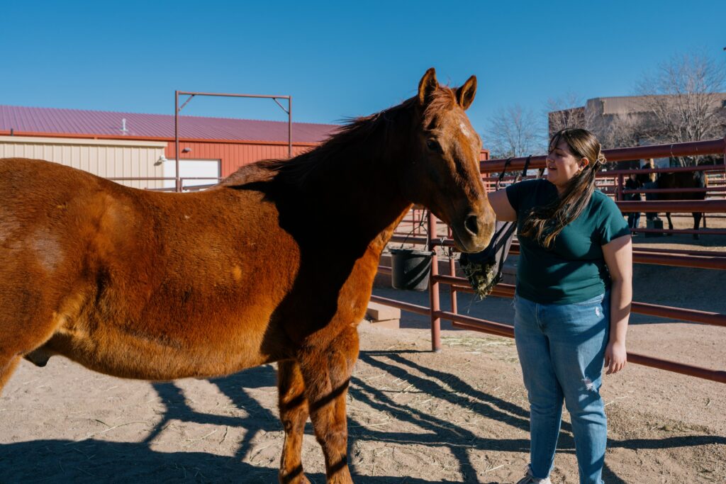 A CANTER participant building a bond with one of our horses